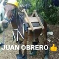 Juan humilde