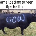 Game loading screen tips be like
