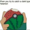 Dark type Pokemon