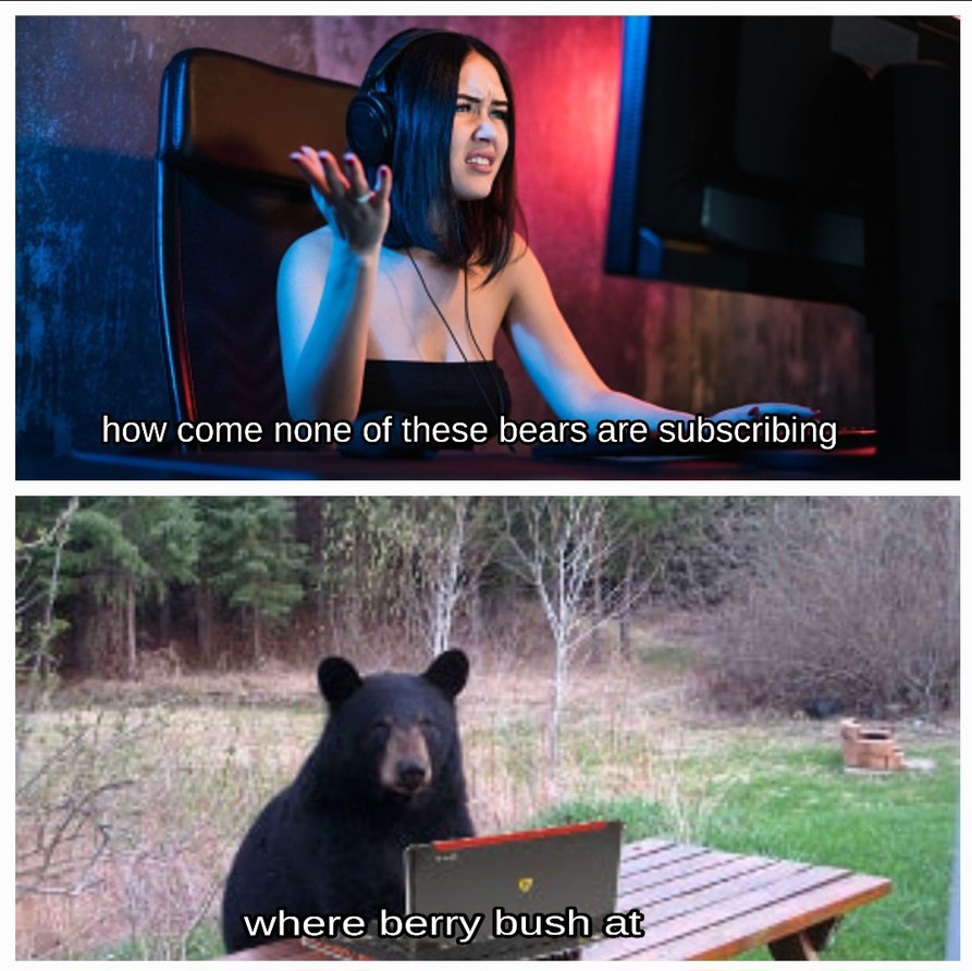 Bear patriarch - meme