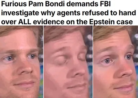 Pam Bondi Epstein files meme news