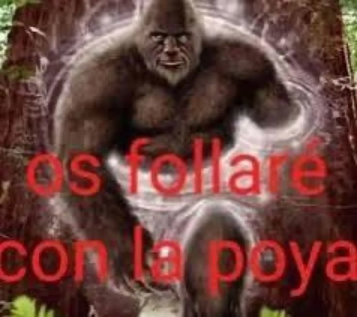 Yo - meme