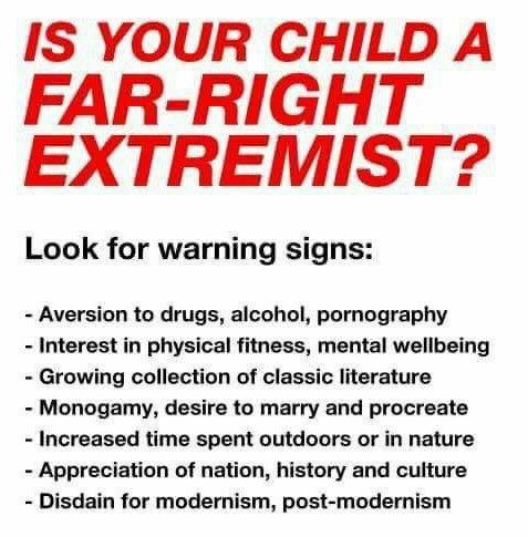 dongs in a right-wing extremism - meme
