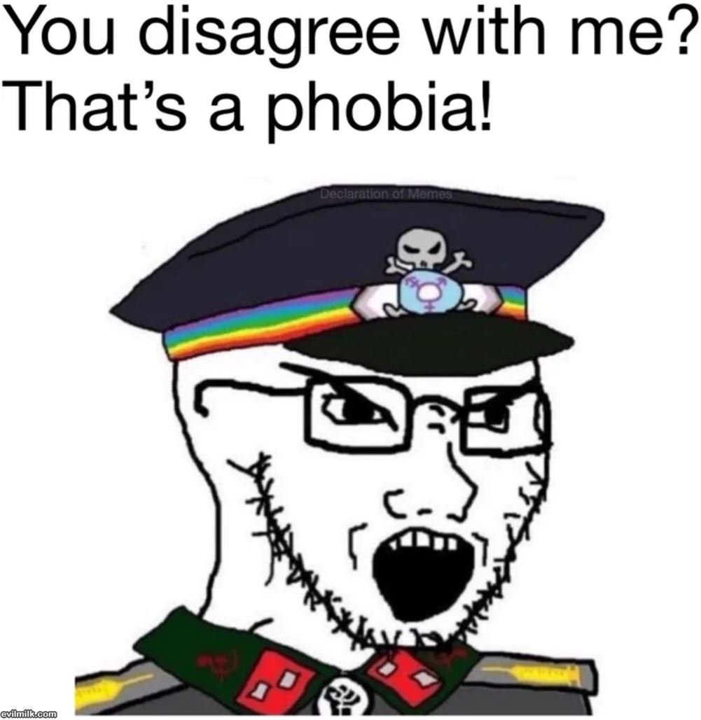 You disagree with me? That's a phobia! - meme