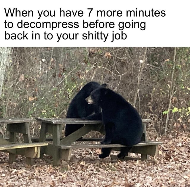 job meme