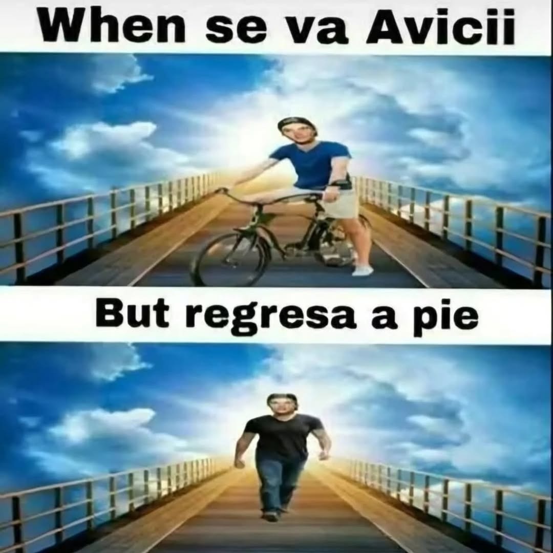 Güen se va avici - meme