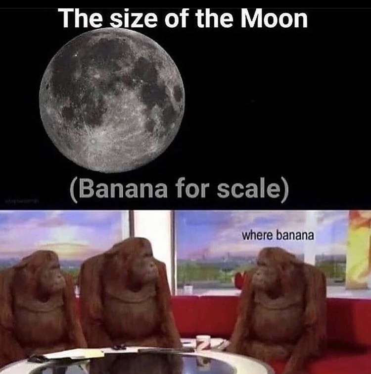 where banana - meme