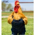 The clothes make the cock