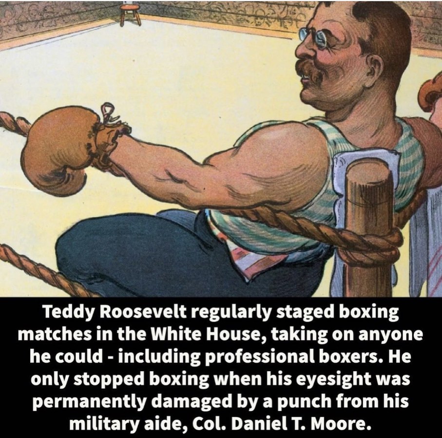 reason #85739522759 why teddy was the most bad ass prez ever - meme