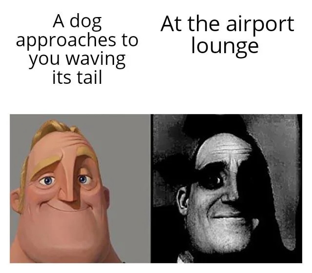 Dark airport meme