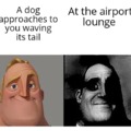 Dark airport meme