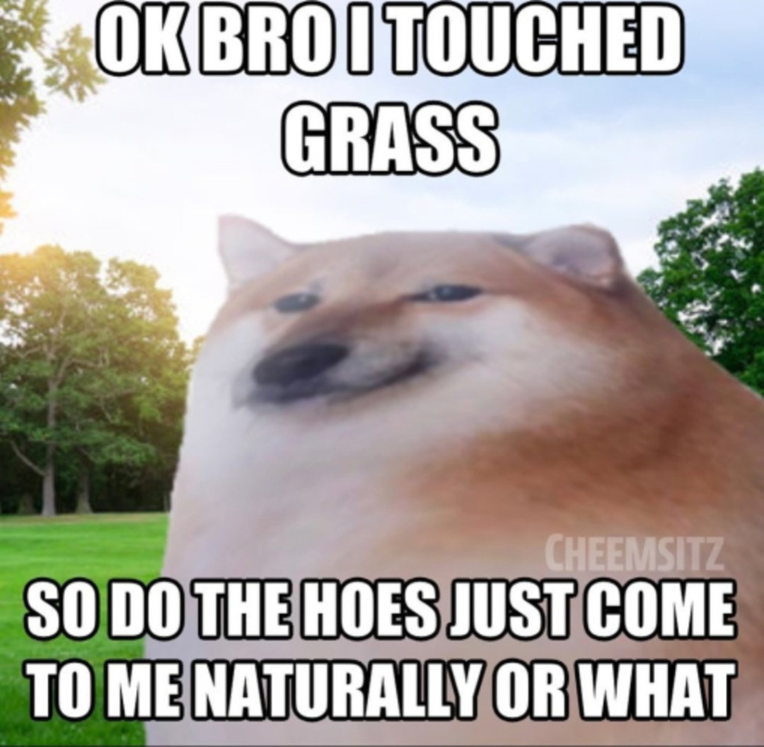 The grass is touched - meme