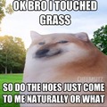 The grass is touched