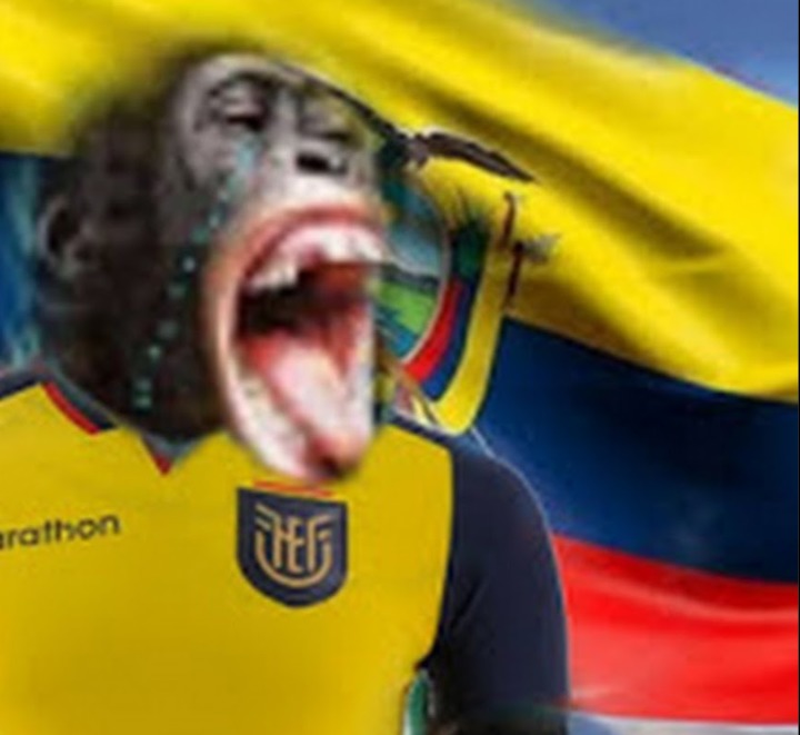 Viva Ecuador - meme