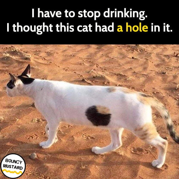 Hole in the cat - meme