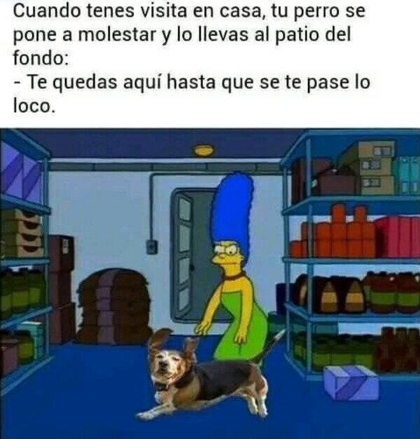 Perro en su momento loco - meme