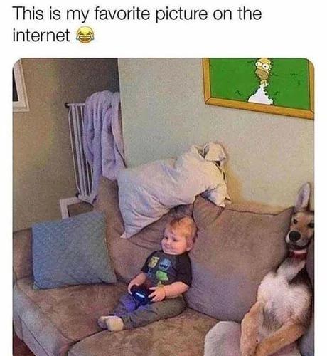This picture owns my entire internet experience - meme