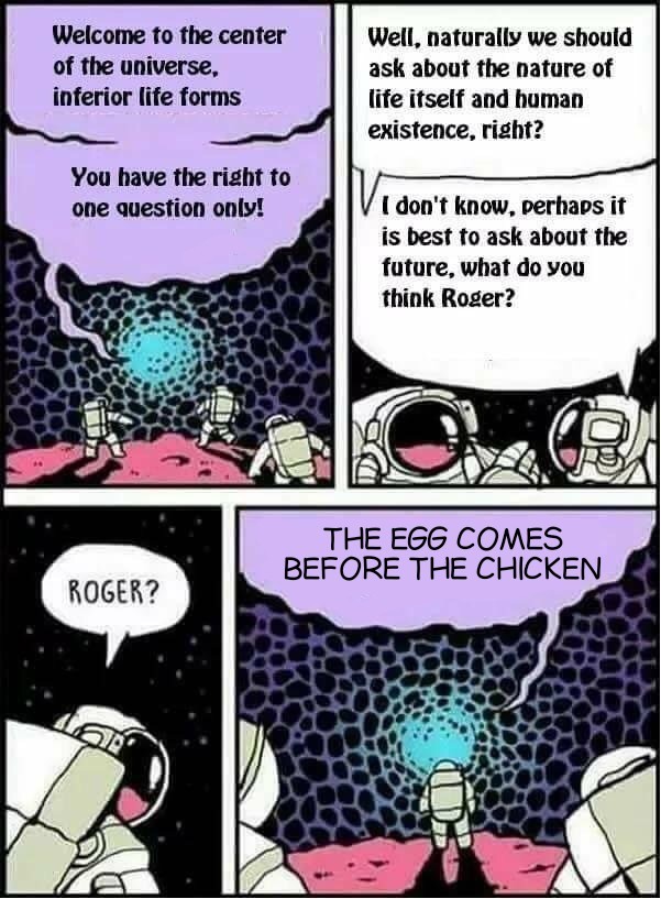 Which comes first the chicken or the egg? - meme
