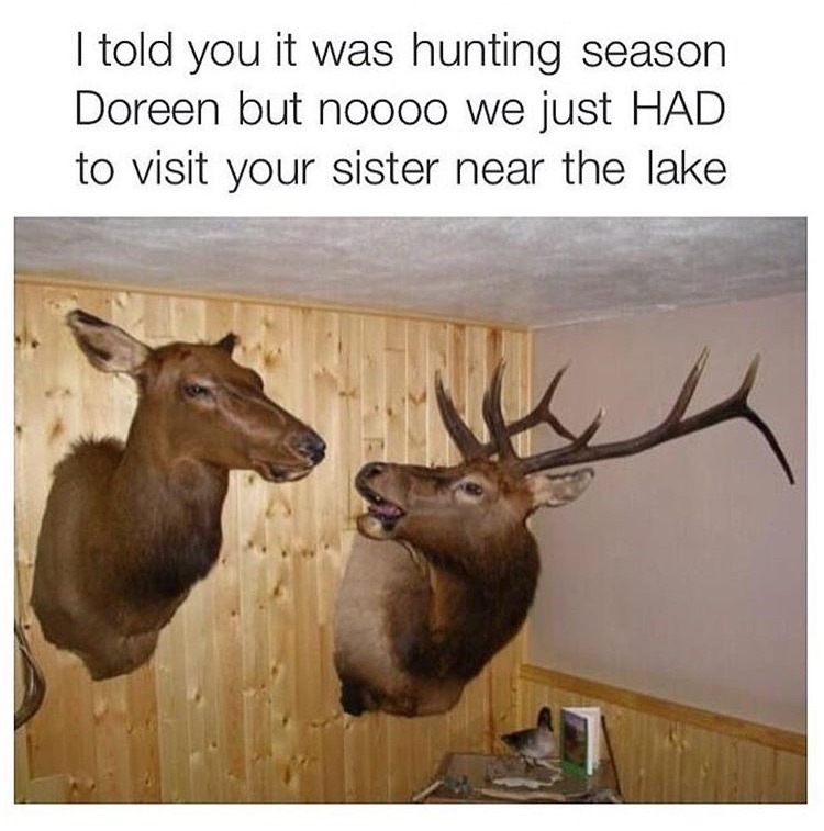 Oh deer! - meme