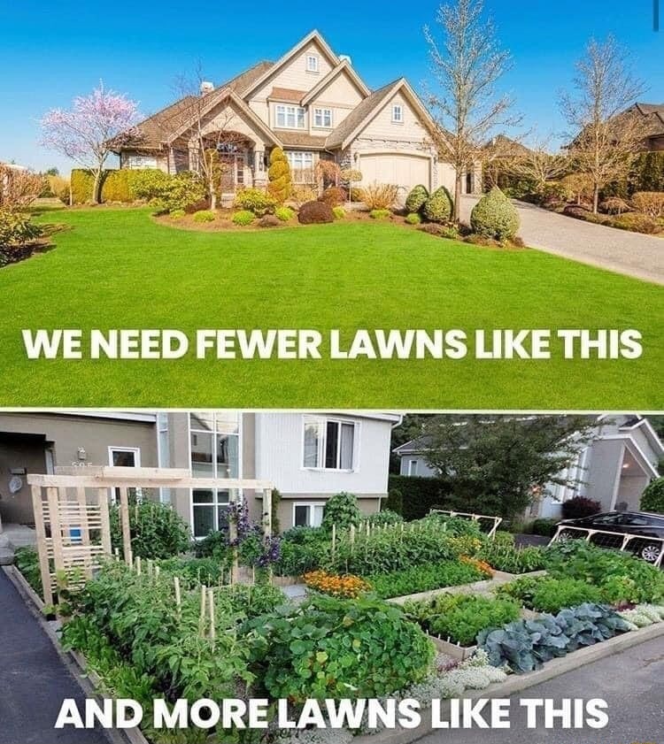 Lawns - meme
