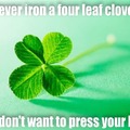 I’m looking over a four leaf clover