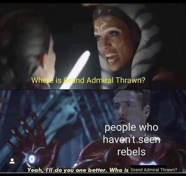 Who is Grand Admiral Thrawn - meme