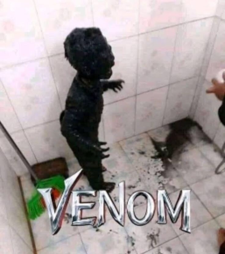 Venom - meme