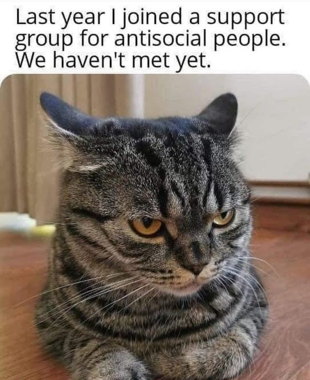 Support group for antisocial people - meme