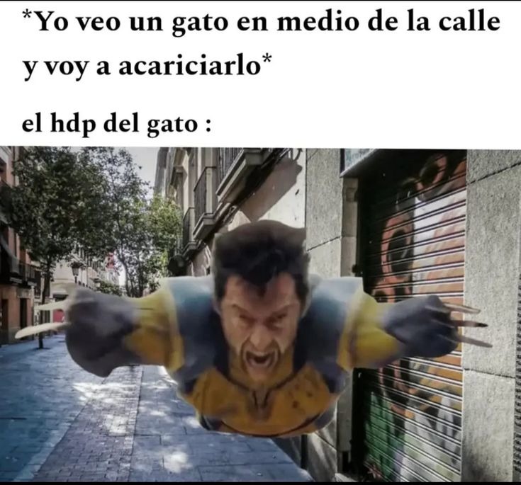 ¿Ud qué opina? - meme