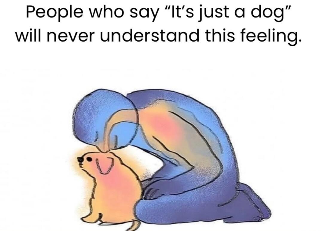 People who say 'it's just a dog' will never get it - meme