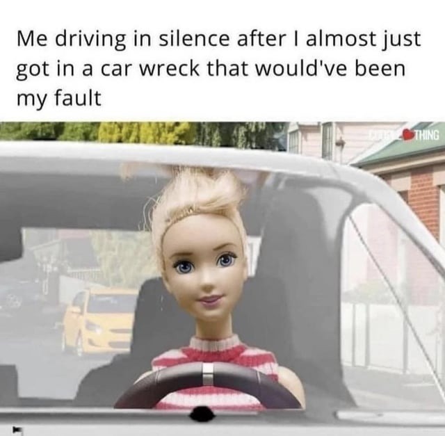 Driving in complete silence after almost committing vehicular oopsie - meme