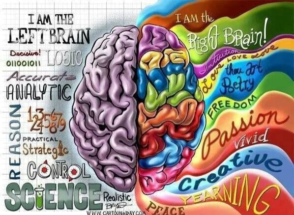 Ways the mind works, so if you combine the two processes you can come up with great stuff - meme