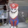 what... is that Cat Mario??