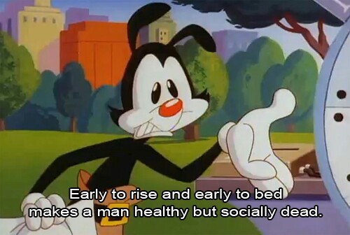 Truth being spoken by Animaniacs - meme