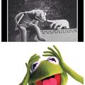 Kermit the lizard