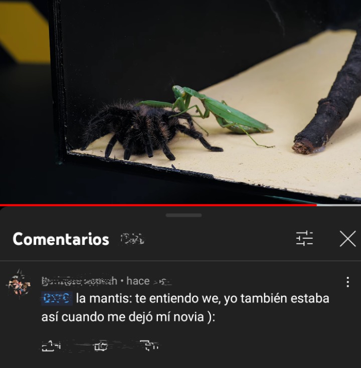 la mantis - meme