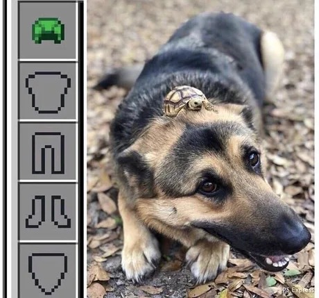 Minecraft equipped dog - meme