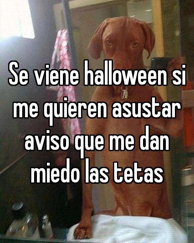 Aviso para halloween - meme