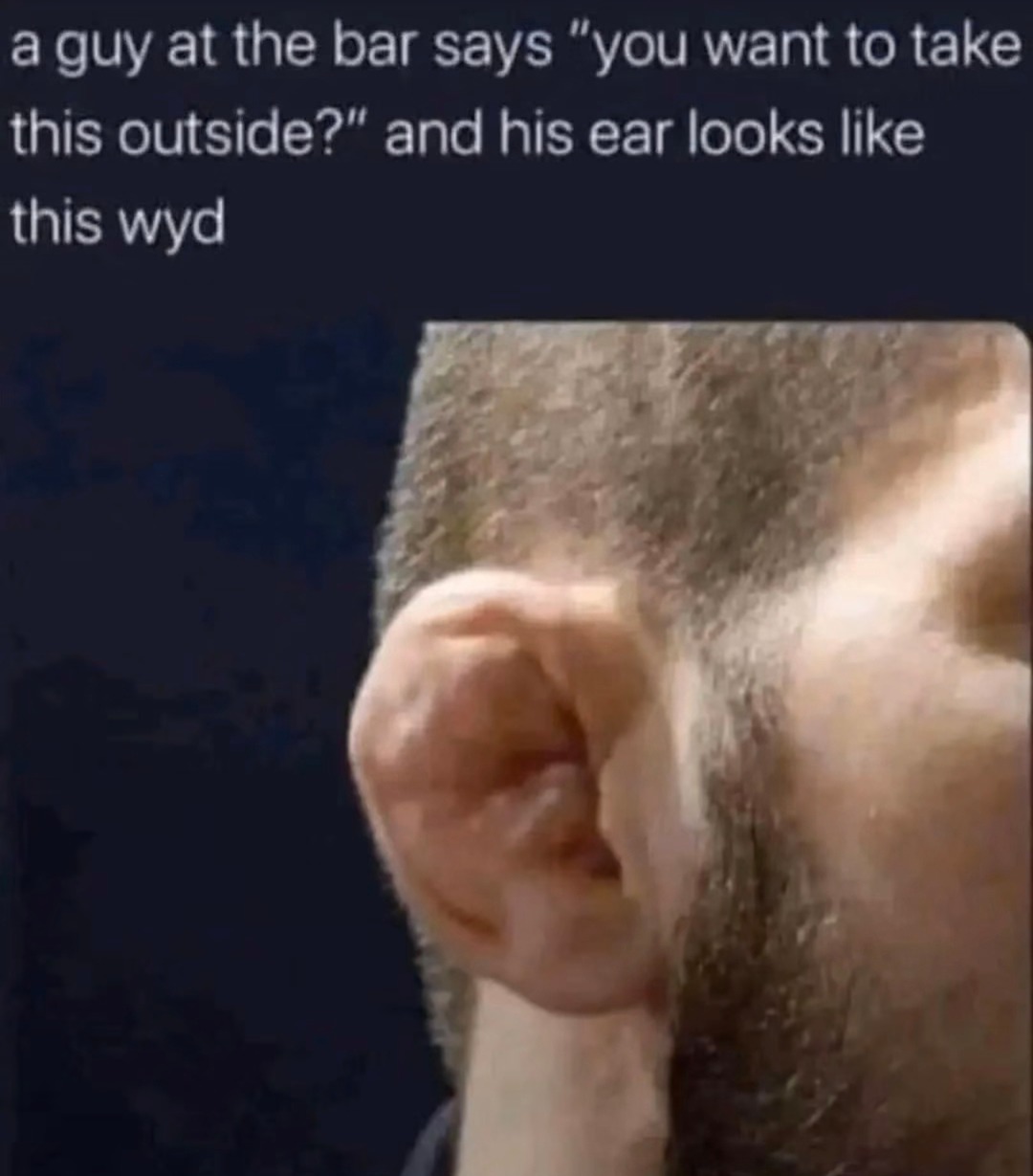 he said wanna take this outside and his ear said UFC champion - meme