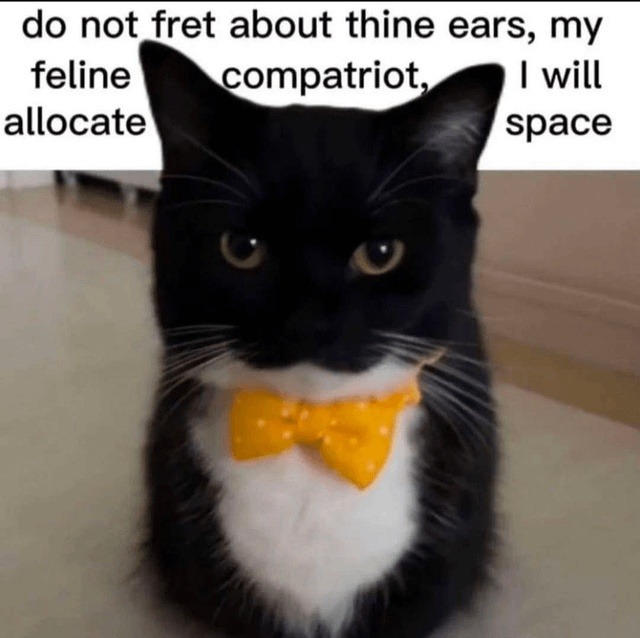 Worry not, fair feline, I shalt scoot over - meme