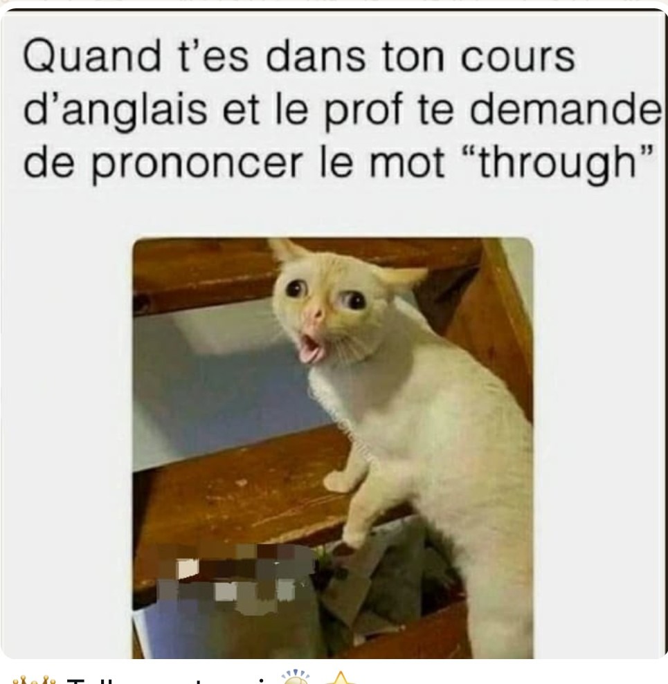 Les cours d'anglais  - meme