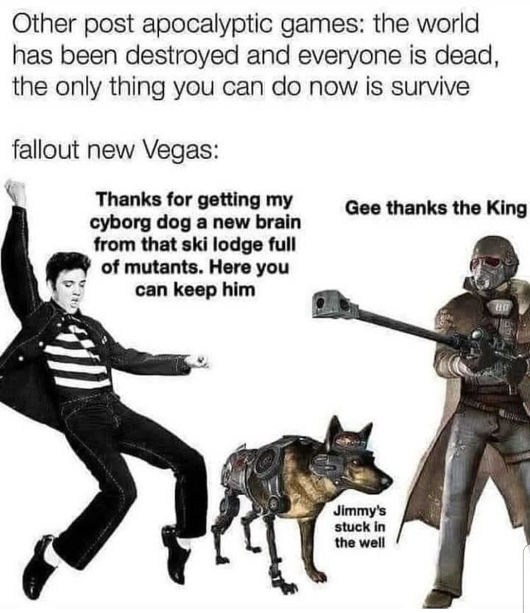 Fallout New Vegas - meme