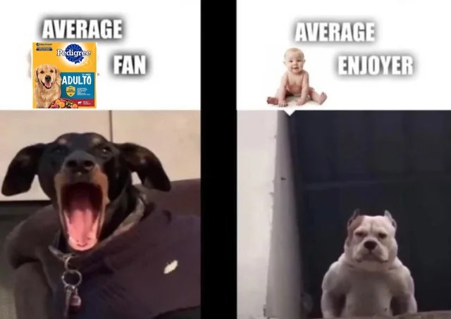 Memes perros