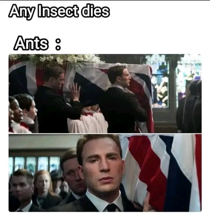 Ants - meme