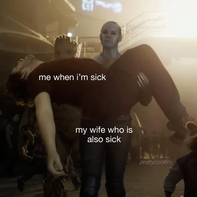 I am her powerful protector until I get the sniffles - meme
