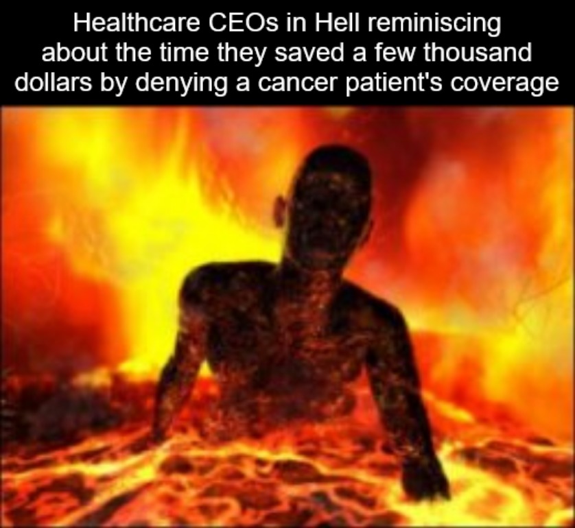 (((For Profit Insurance Companies))) - meme