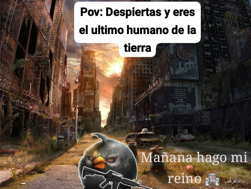 Despiertas y eres el ultimo humano en la tierra  - meme