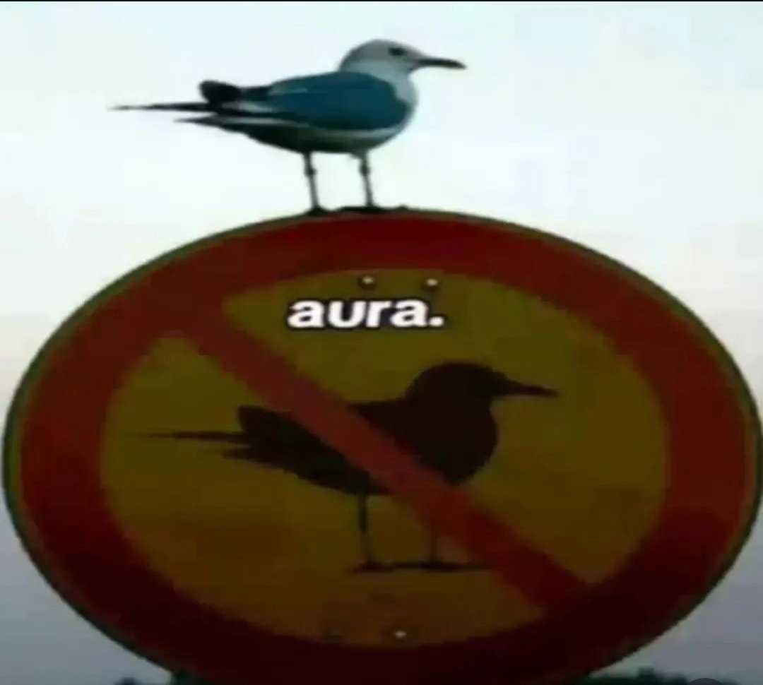 AURA - meme