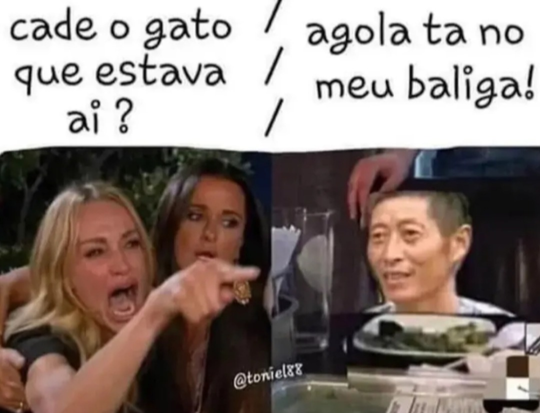 Comeram... Comeram o GatoDaCaixa... - meme
