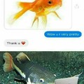 Get it? If you don't know it's, its catfish